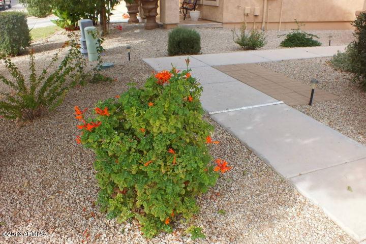 382 E Mule Train Tr., San Tan Valley, AZ 85143