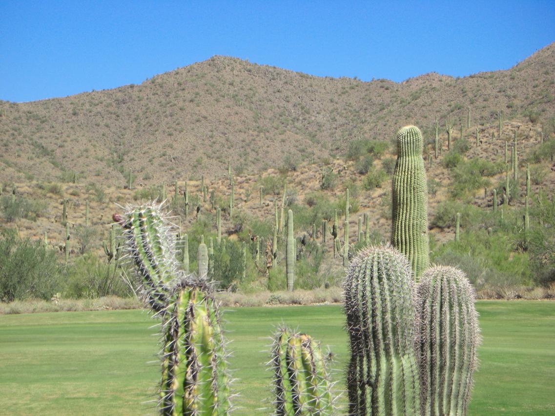 2404 W Hazelhurst Ct., Anthem, AZ 85086