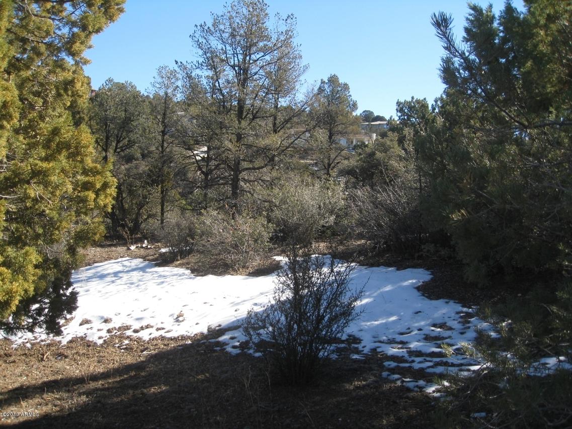 581 Donny Brook Cir. #418, Prescott, AZ 86303