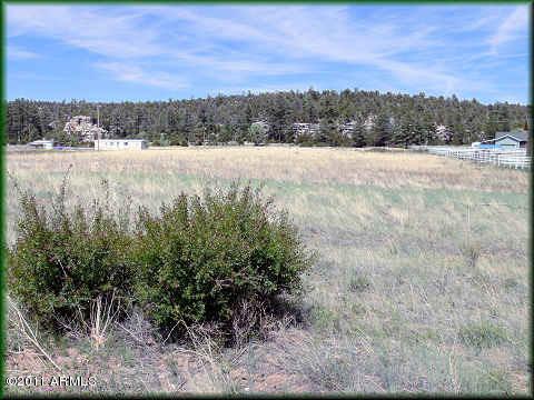 2981B Buckskin Canyon Rd. #001U, Heber, AZ 85928