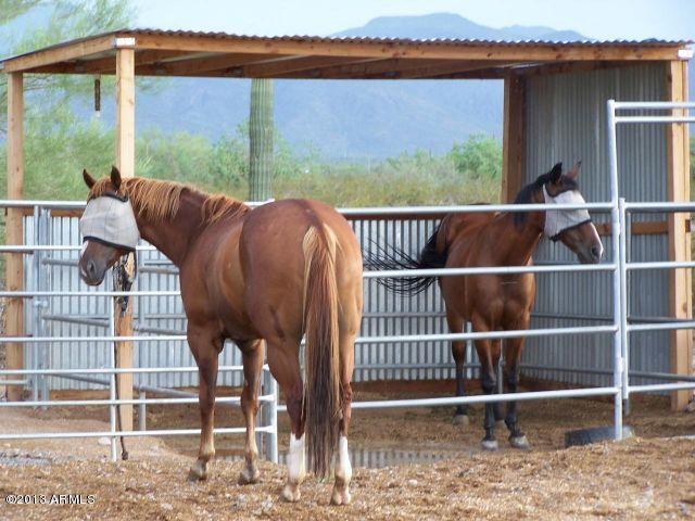 46609 W Sanchez Rd., Maricopa, AZ 85139