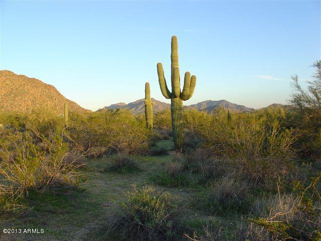 377XX N Linda Dr., Cave Creek, AZ 85331