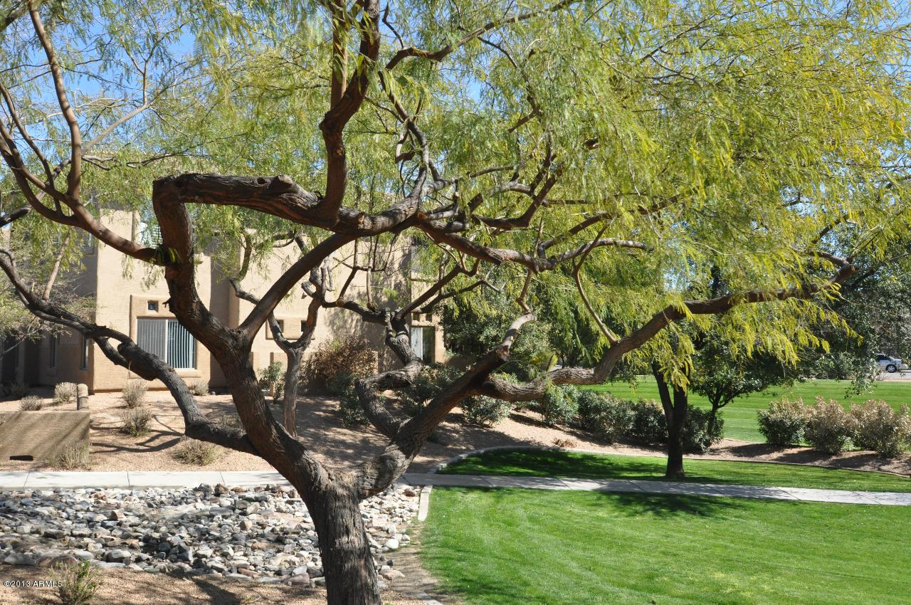 9100 E Raintree Dr. #136, Scottsdale, AZ 85260