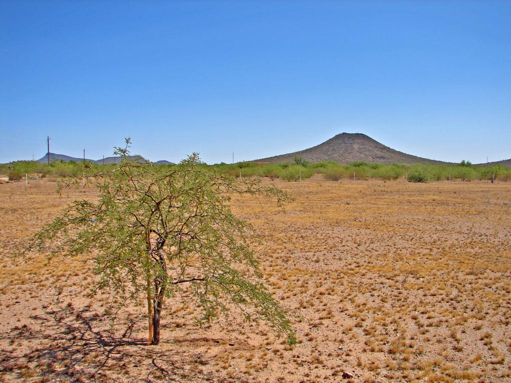 45232 W Pueblo Vista St., Wickenburg, AZ 85390
