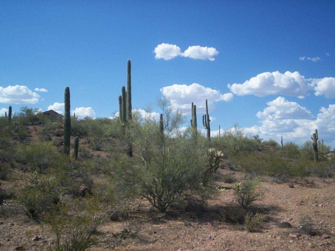 Grand Ave N San Domingo Ave., Wickenburg, AZ 85390