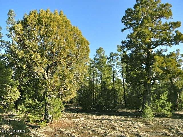 3404 Ponderosa Loop #135, Heber, AZ 85928