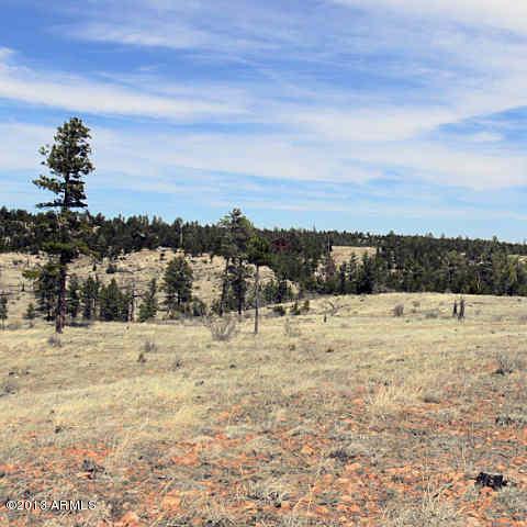 1805 Mus Heart Tr. #010 B, Heber, AZ 85928