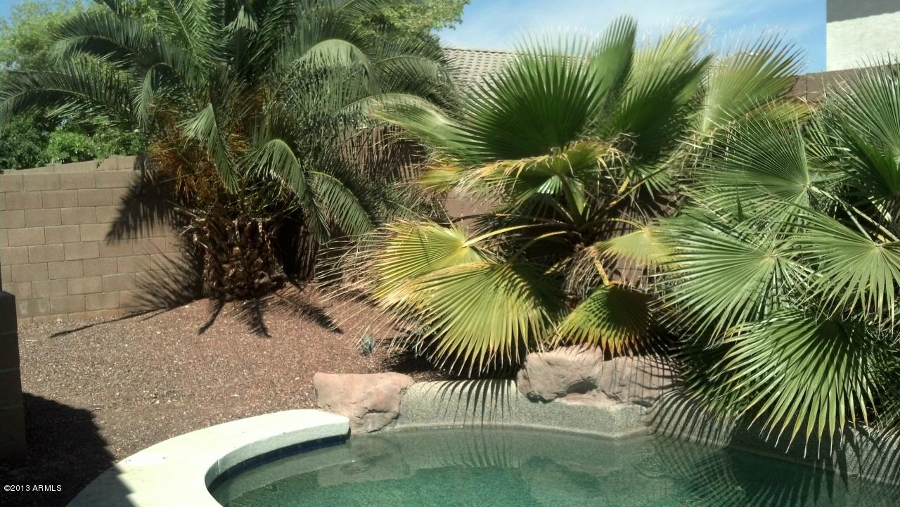 16742 W Taylor St., Goodyear, AZ 85338