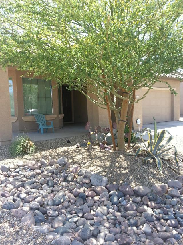 10779 W Washington St., Avondale, AZ 85323