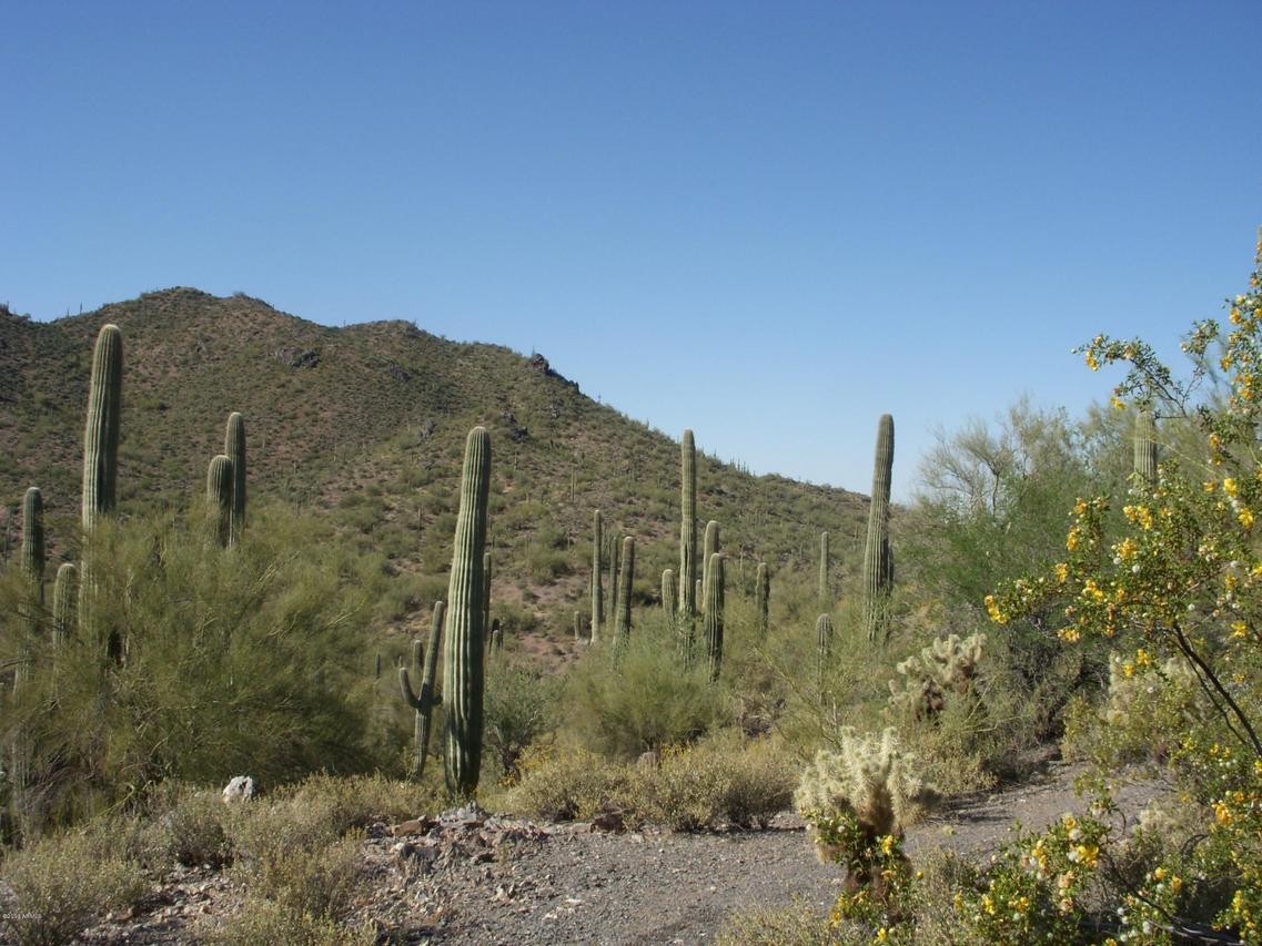 4XXXX N Miramonte Dr. #N, Cave Creek, AZ 85331