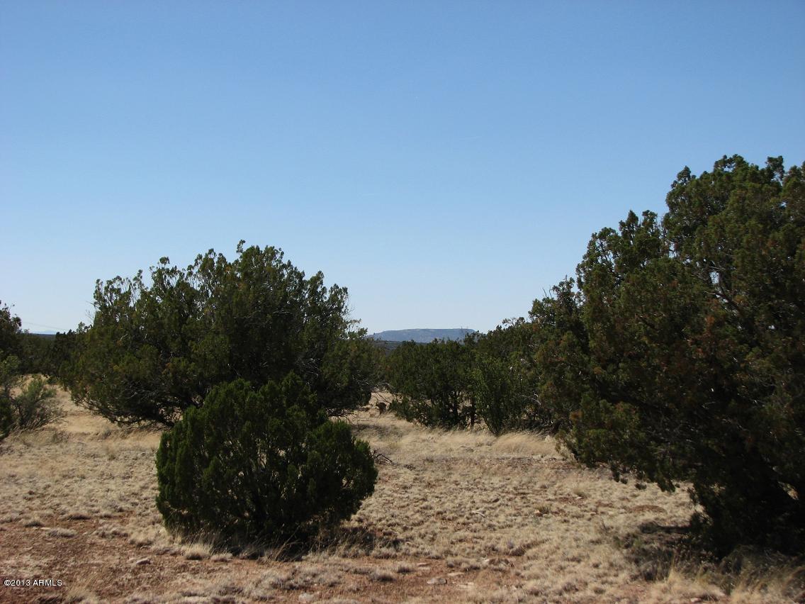 Sec.7 Chevelon Acres #1, Heber, AZ 85928