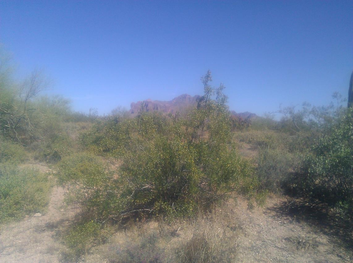 E Whiteley St., Apache Junction, AZ 85119