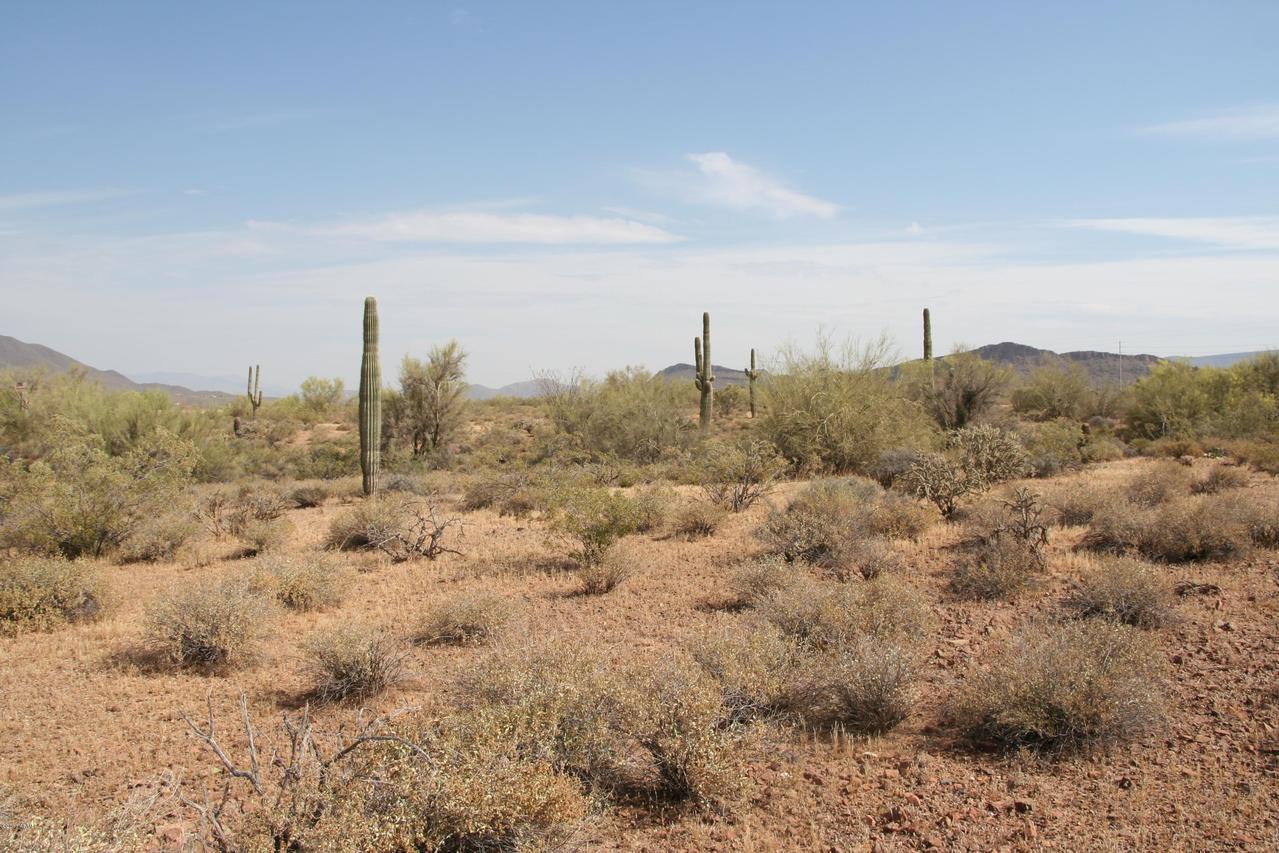 39722 N New River Rd. #Lot 3, Phoenix, AZ 85086