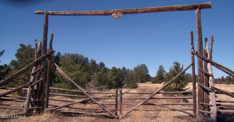 2754 N Mogollon Dr. #52, Heber, AZ 85928