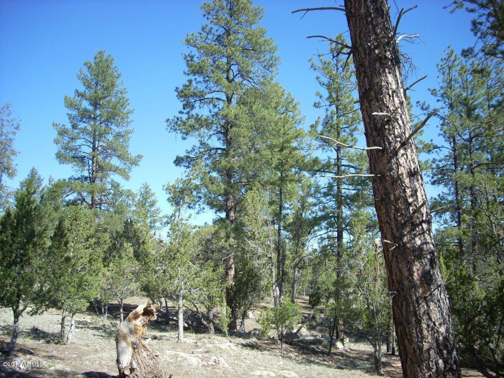 1838 Artist Draw #51, Heber, AZ 85928