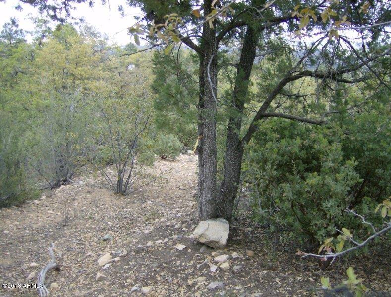 2935 W Prospect Point Point, Prescott, AZ 86303