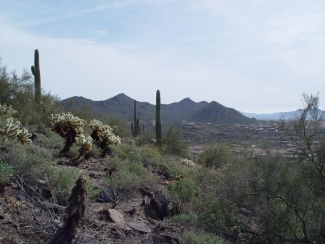 37040 N 31st Ave. #-, Phoenix, AZ 85086