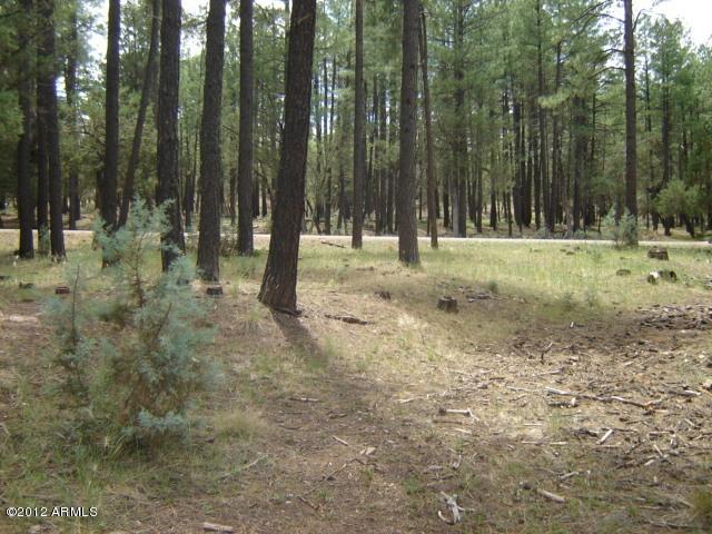 244 Johnson Blvd., Christopher Creek, AZ 85541