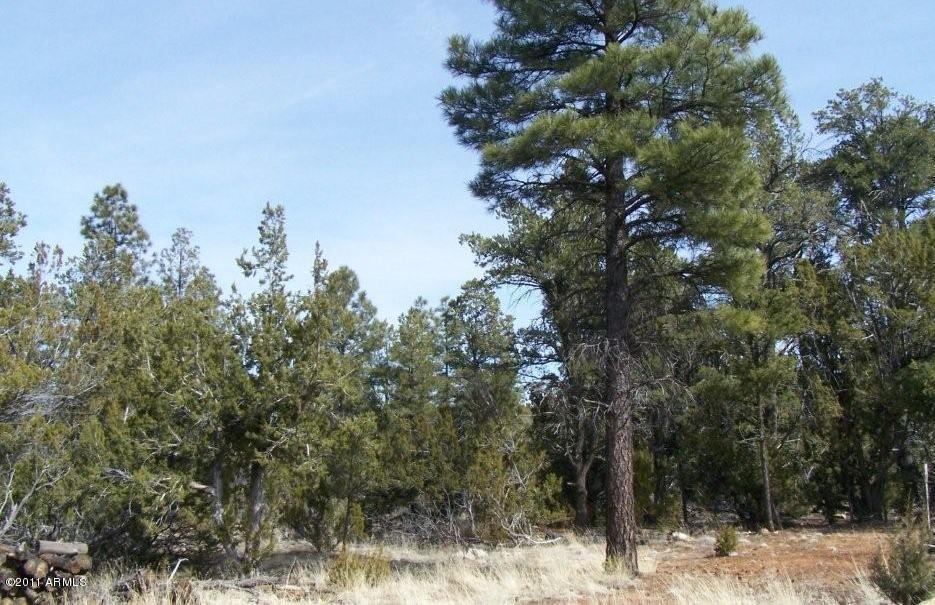 3368 Skyline Ln. #51A, Heber, AZ 85928