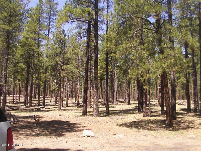 6308 N Galloway Tr. #6, Flagstaff, AZ 86001