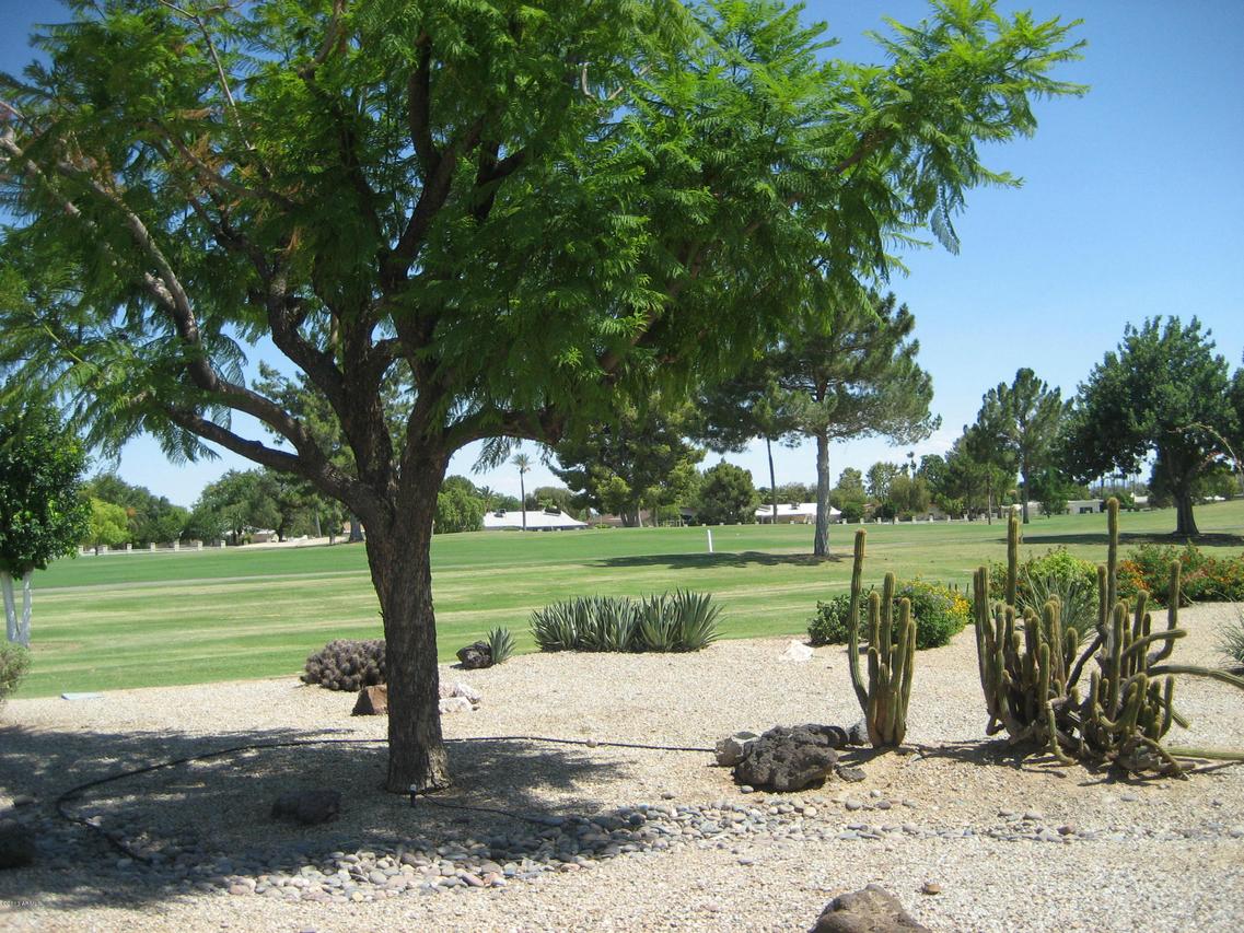 10609 W Welk Dr., Sun City, AZ 85373