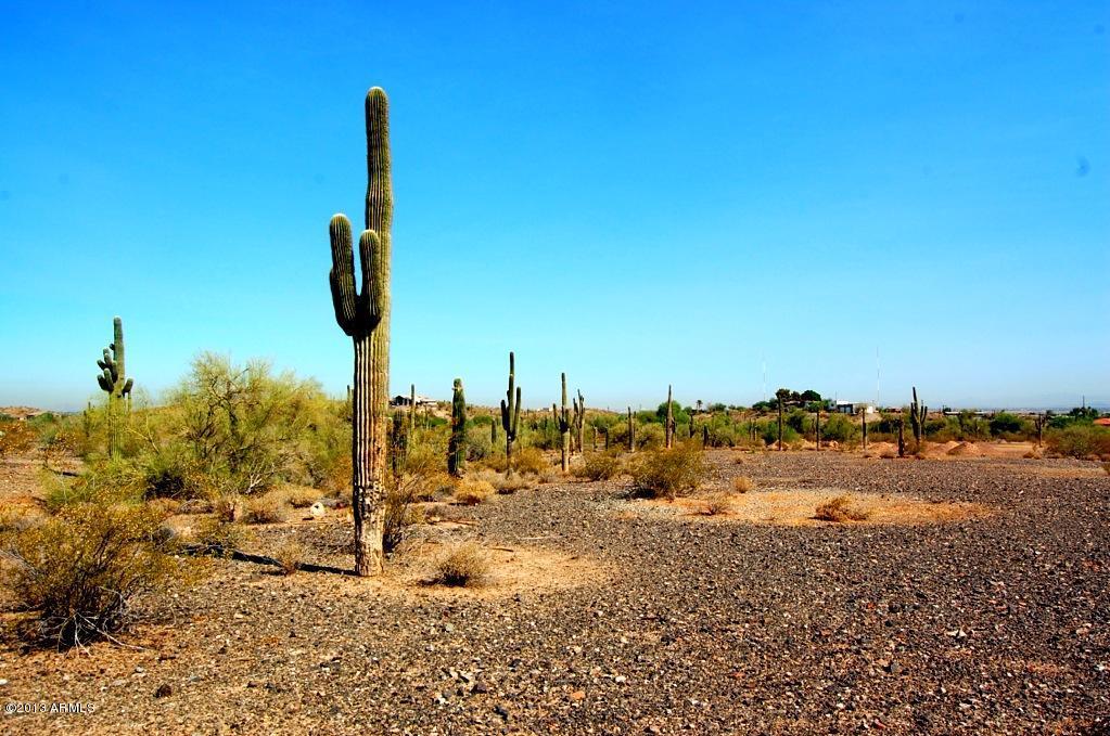 19xx W Mcneil St. #1, Phoenix, AZ 85041