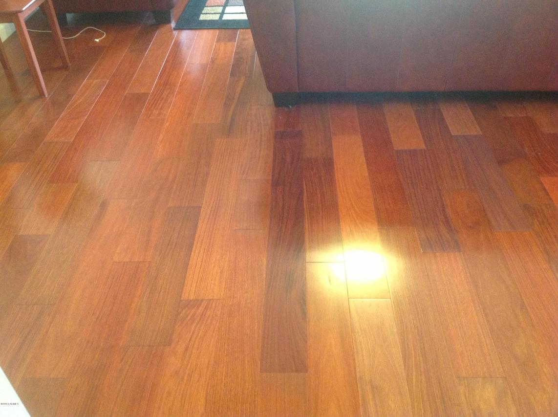 3219 W Saint Kateri Dr., Phoenix, AZ 85041