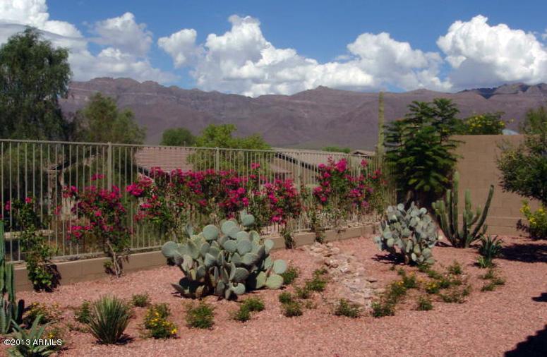 8160 E Sweet Bush Ln., Gold Canyon, AZ 85118