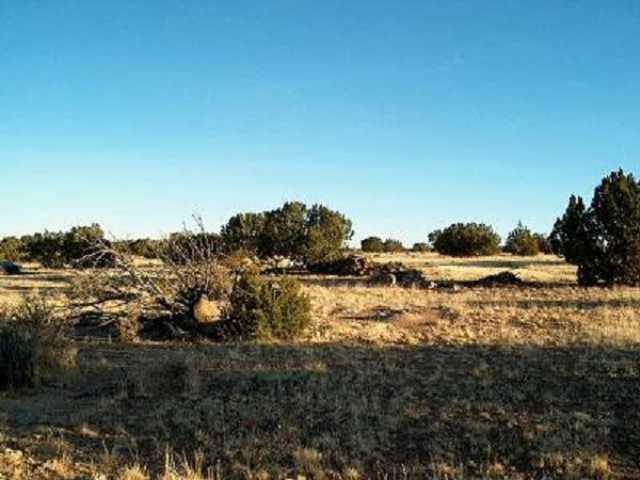 Sec.13 Antelope Valley #002, Heber, AZ 85928