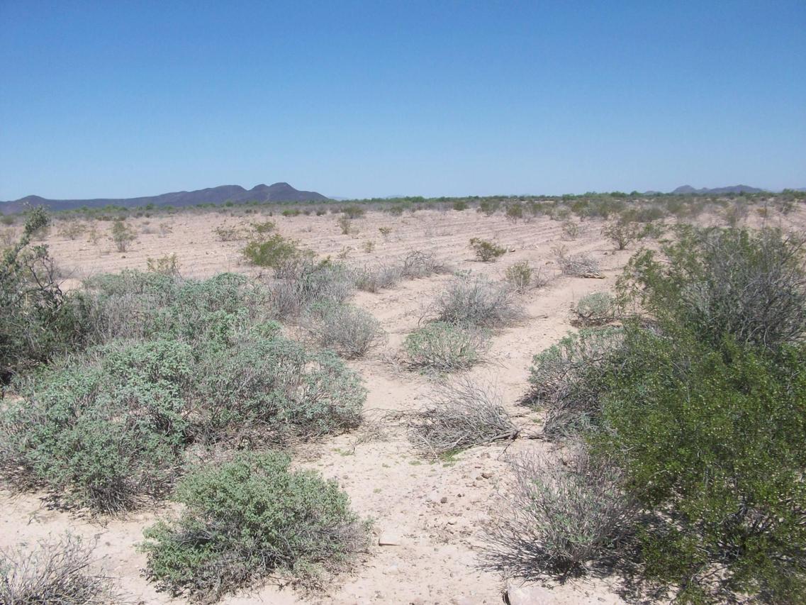 N Avenue 72 E #002, Hyder, AZ 85333