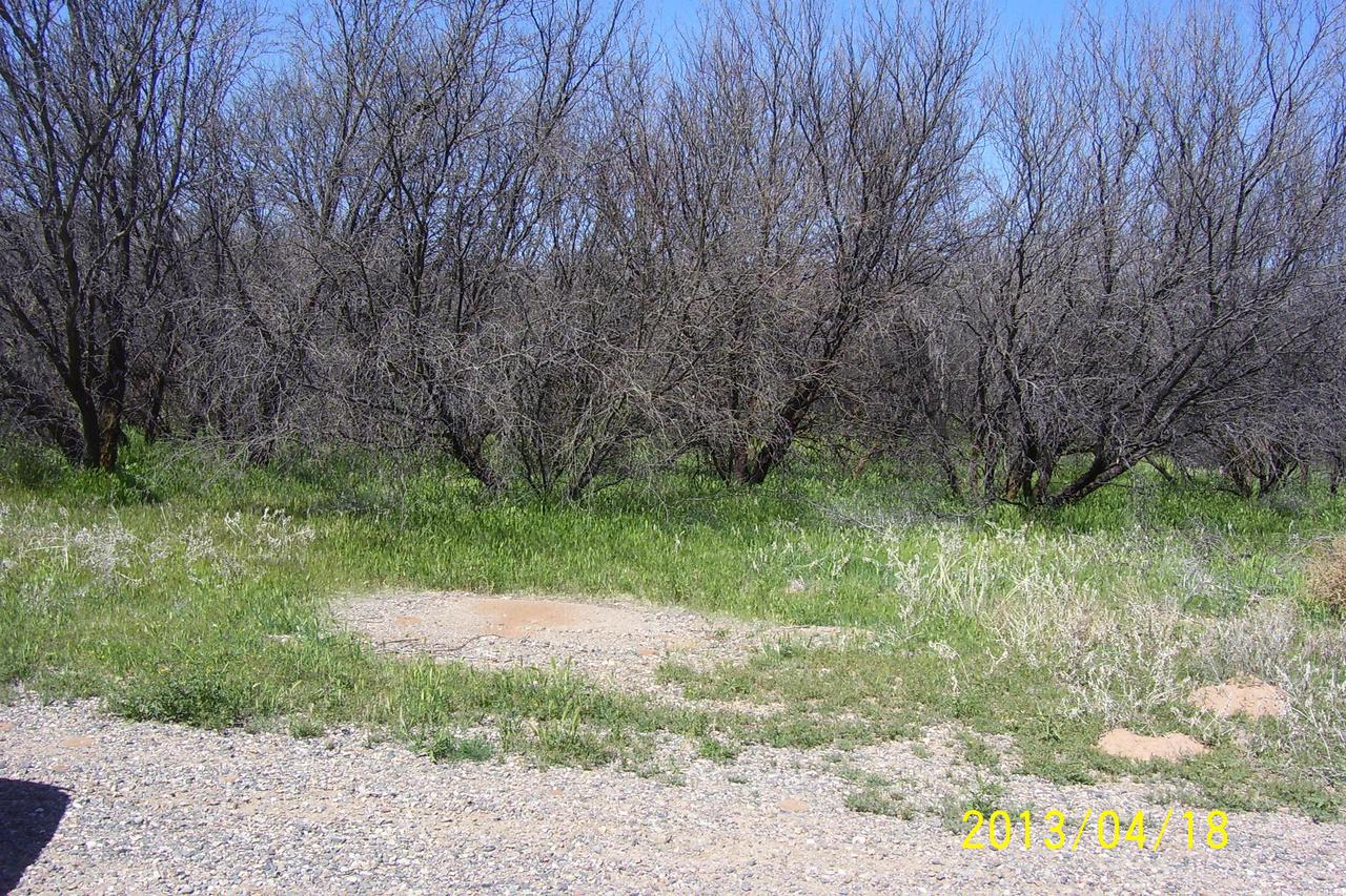 2 N Mustang    ''a'' Ln., Camp Verde, AZ 86322