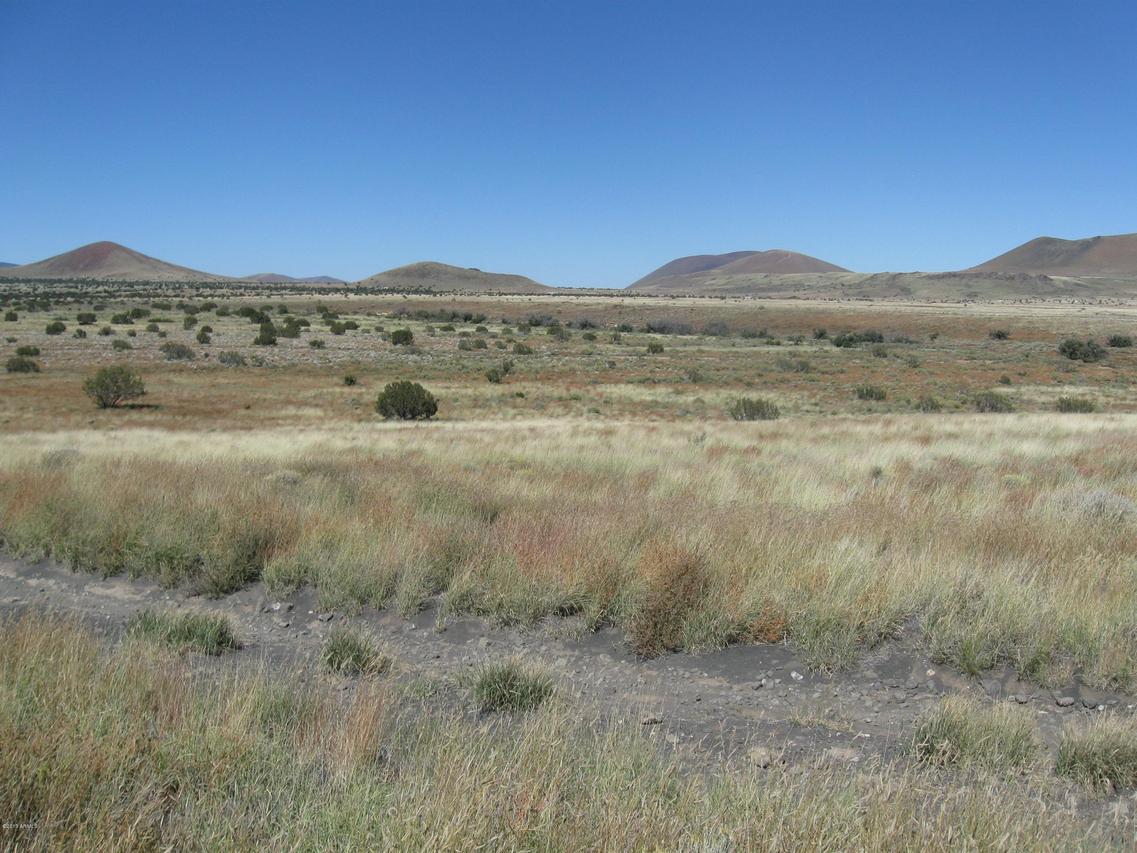 17-040 Alpine Ranches #040, Flagstaff, AZ 86004