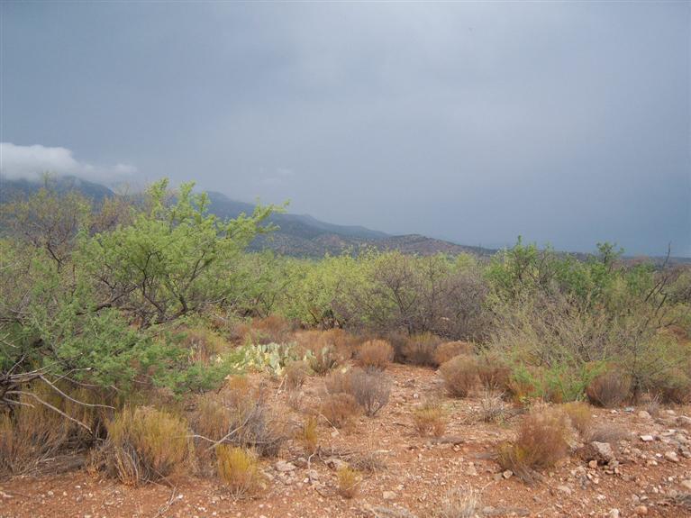 6434 S Cedar Springs St., Camp Verde, AZ 86322