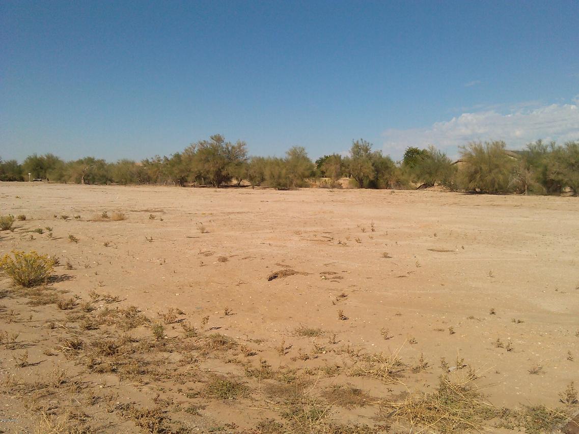 2917 N Katie Ln. #23, Litchfield Park, AZ 85340