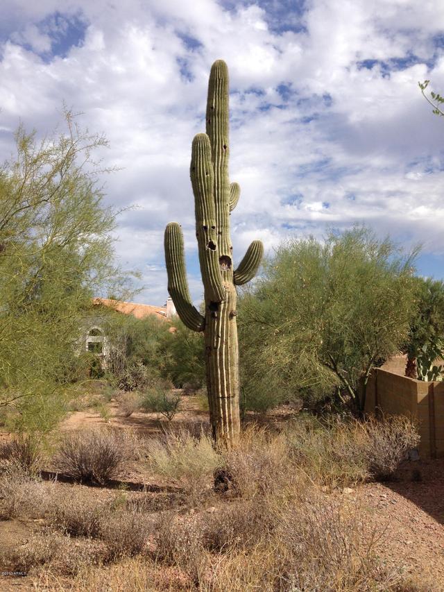 16212 E Keymar Dr. #212-12-18, Fountain Hills, AZ 85268
