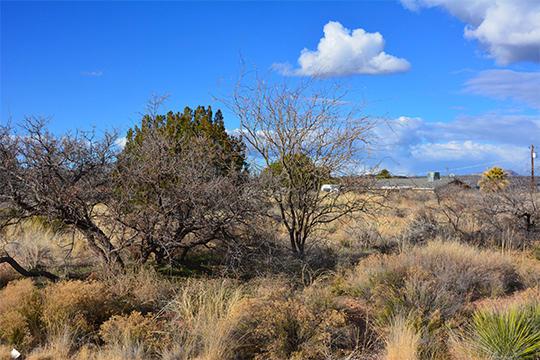 4900 N Dandy Dude, Rimrock, AZ 86335