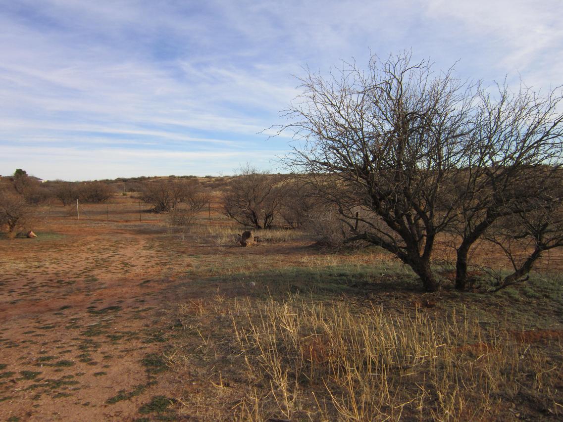 515 S Ole Paint, Cornville, AZ 86325