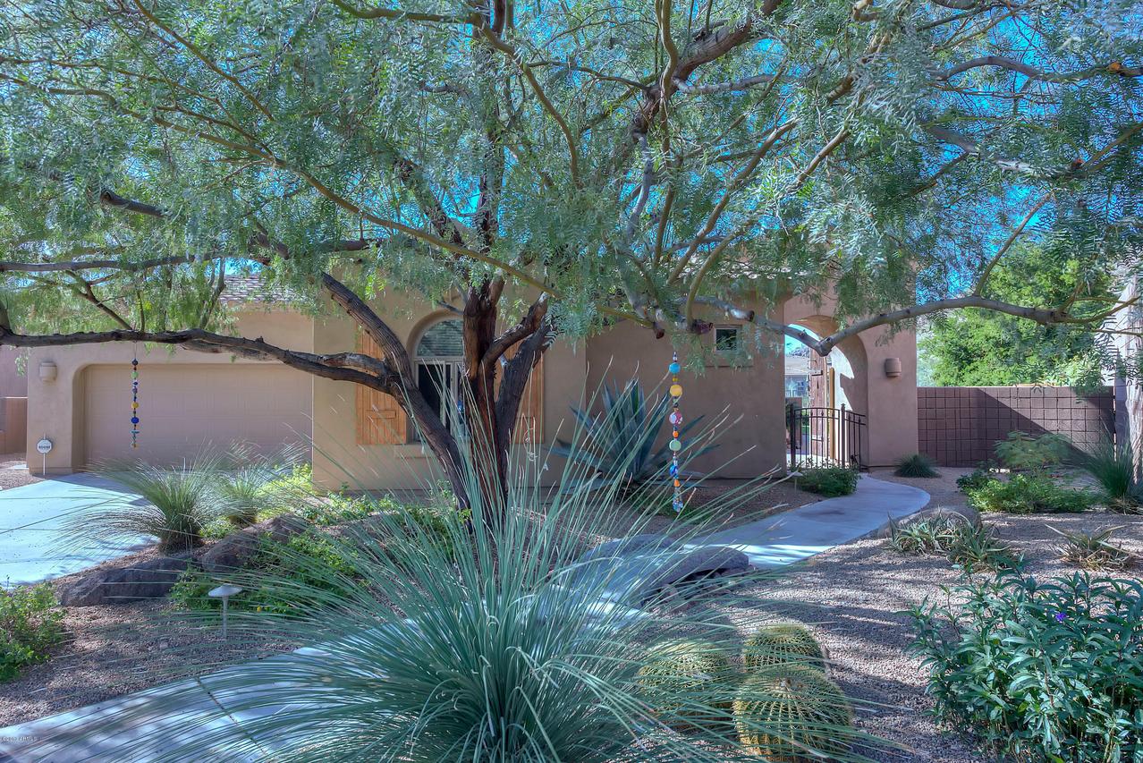 11856 N 144th Way, Scottsdale, AZ 85259