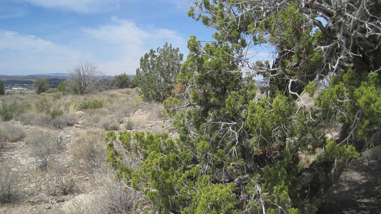 4478 N Valancius, Rimrock, AZ 86335