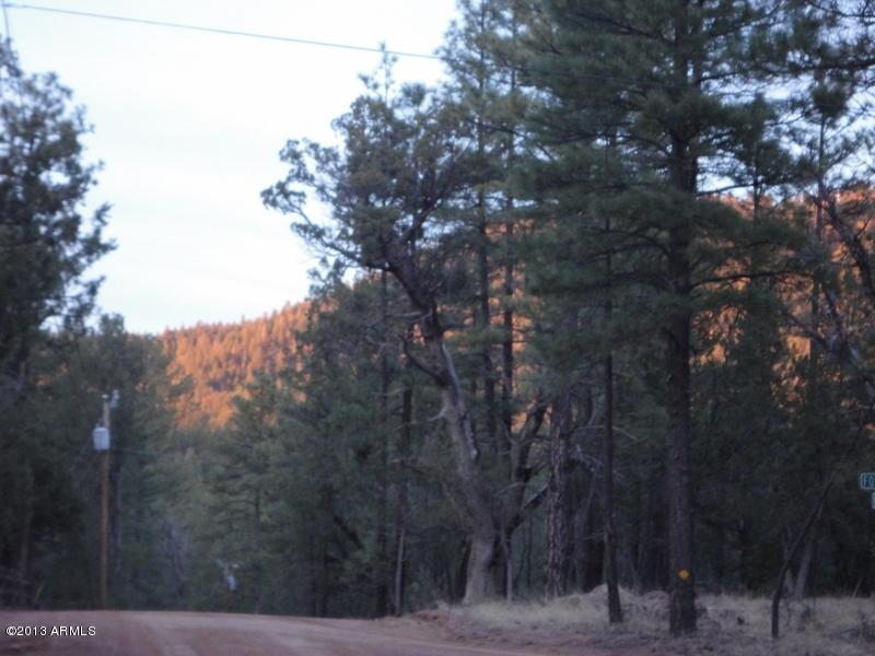 36 S Morris Meadows, Payson, AZ 85541