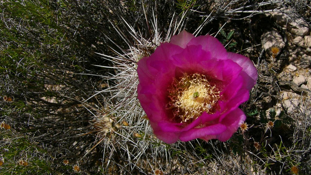 405 Canyon Rd., Sedona, AZ 86336