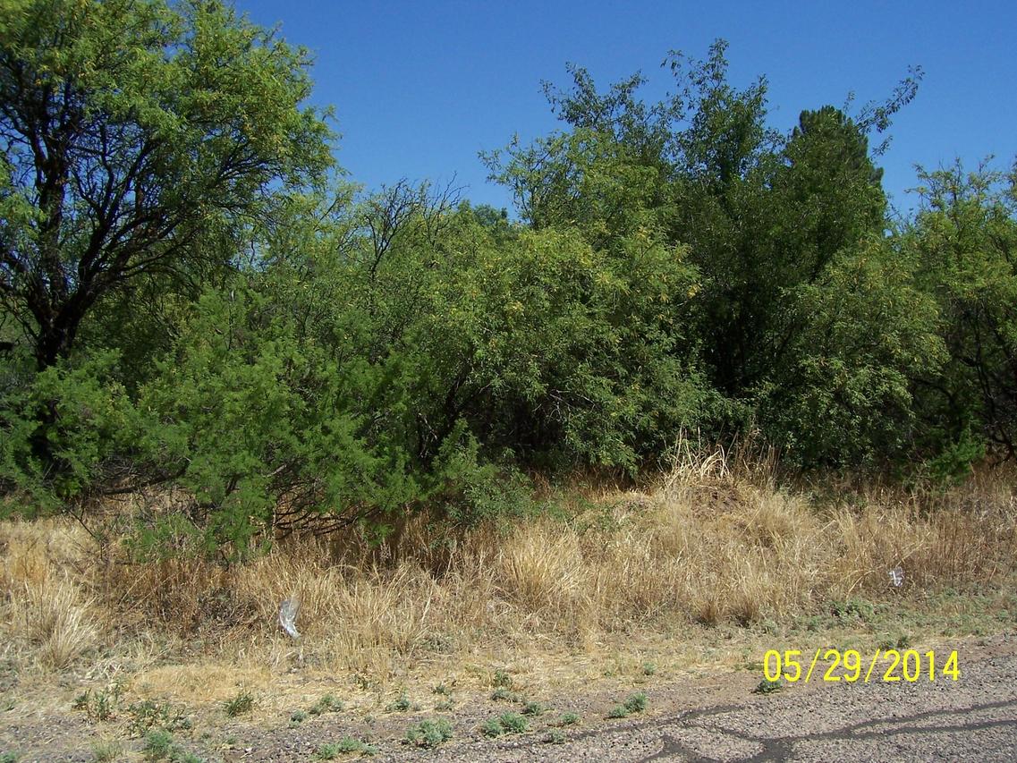 3516 E Mockingbird Ln., Camp Verde, AZ 86322