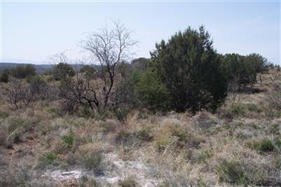 4965 E Redrock Dr., Rimrock, AZ 86335