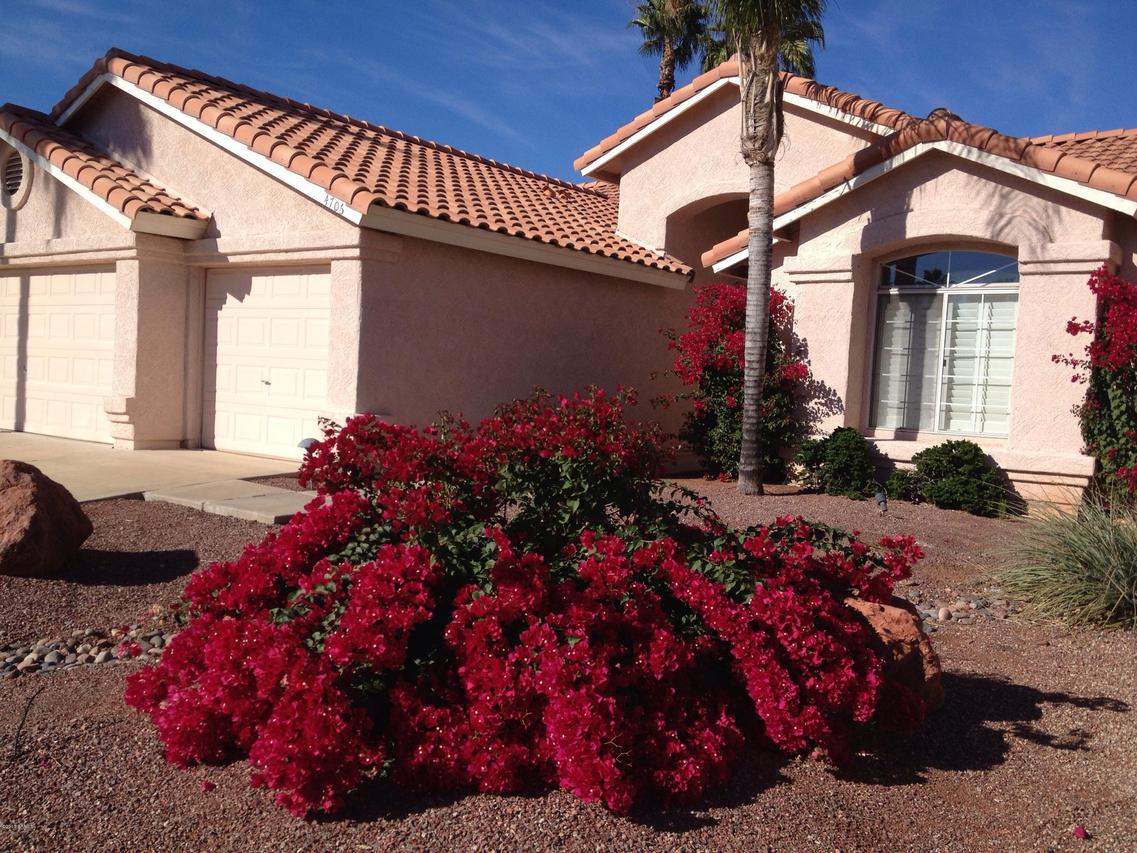 4706 E Robert E Lee St., Phoenix, AZ 85032