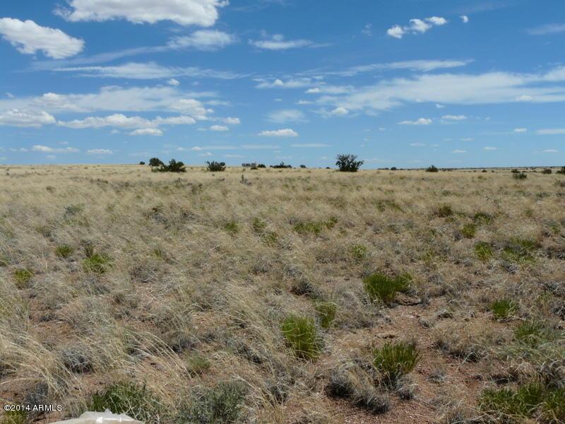 Lot 493 Ccr #3 #493, Heber, AZ 85928