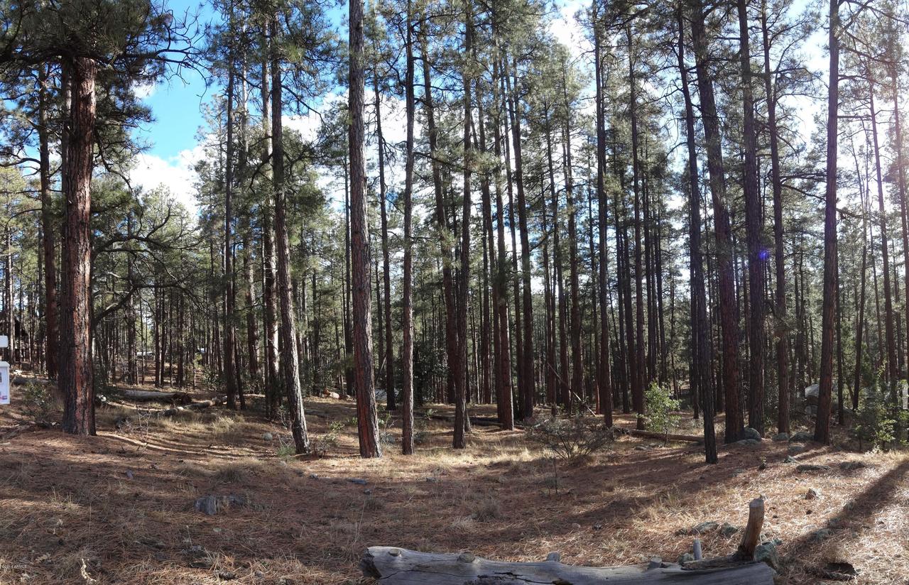 5717 W Dearing Rd. #56, Prescott, AZ 86305