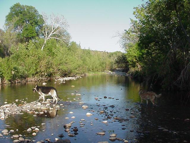 1405 E Boardwalk Pl., Rimrock, AZ 86335