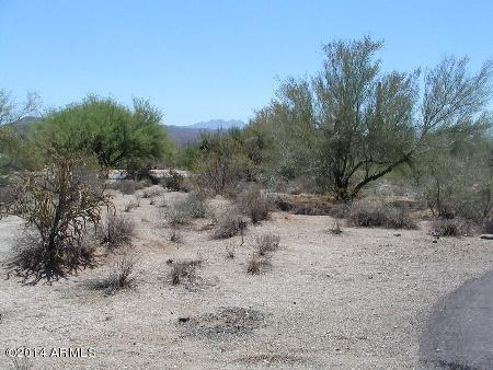 25005 N Puma Cir. #1221, Rio Verde, AZ 85263