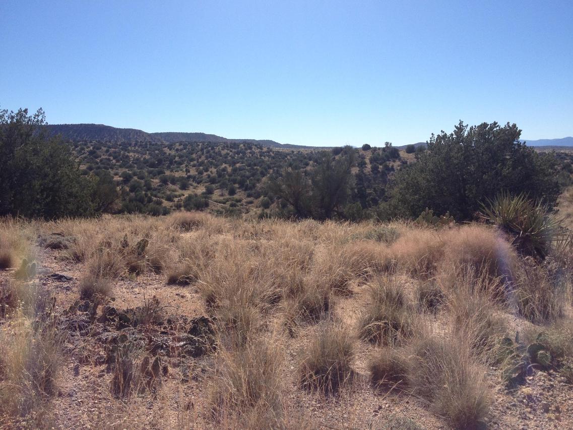 12990 E Jojo Ln., Cornville, AZ 86325