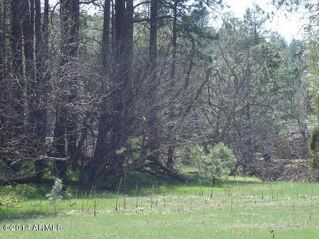 5D & 5E E Colcord Rd., Christopher Creek, AZ 85541